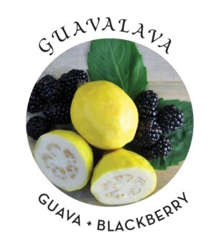 Earthly Body Moisturizing Oil - PICK YOUR SCENT